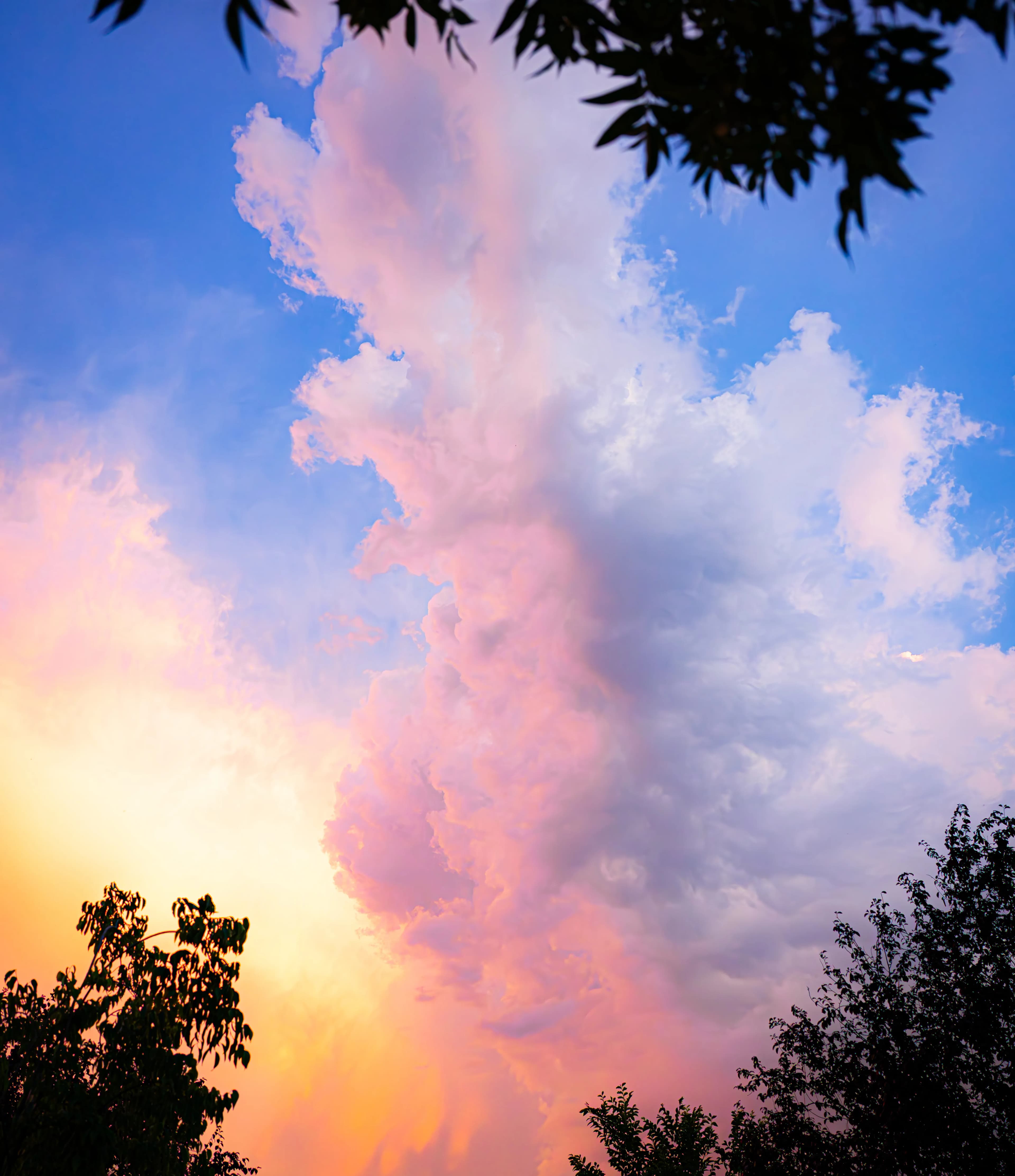Reportages Événementiels - Elouan Duc Photographe