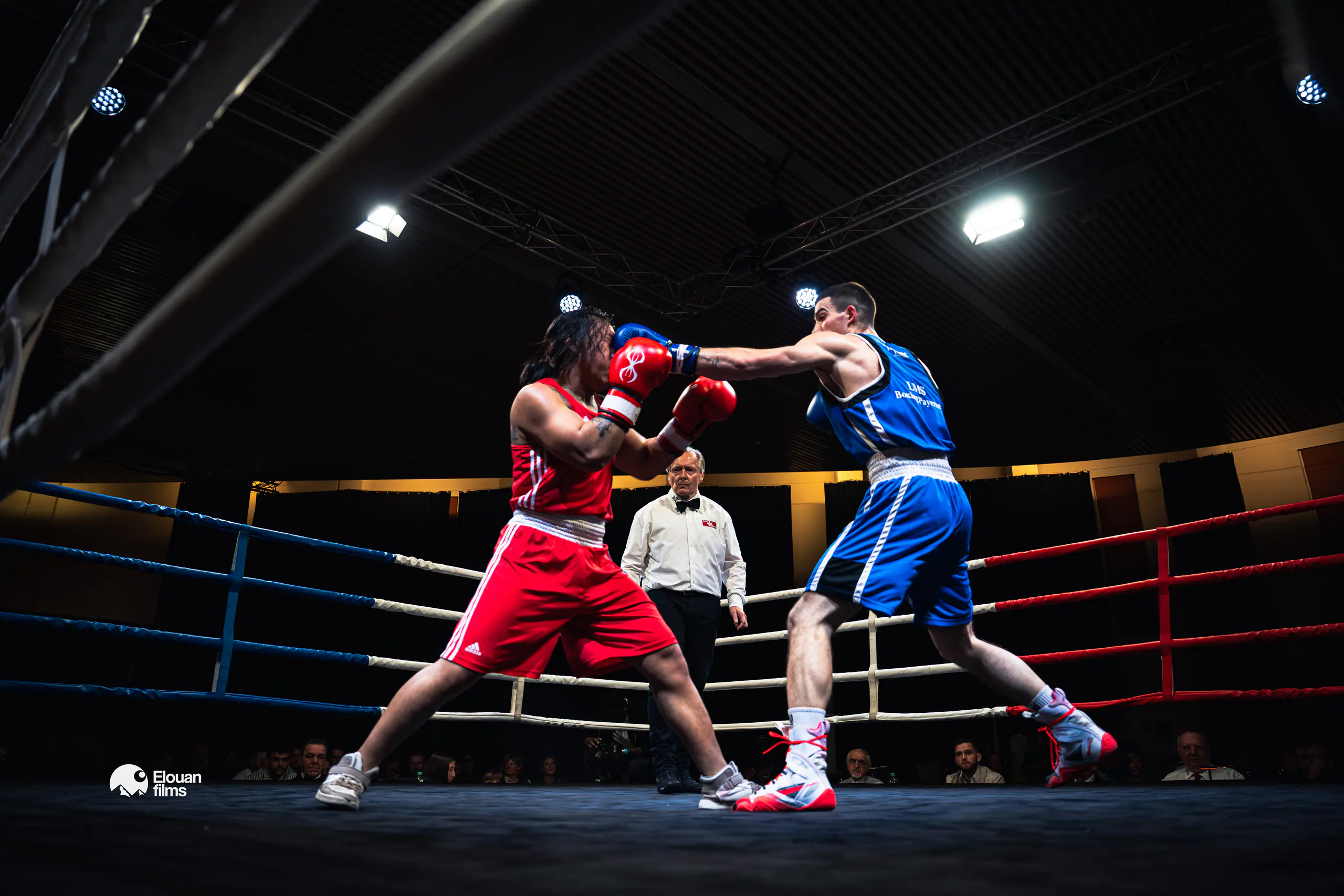 Gala de Boxe — Célébration de la victoire
